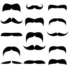 Moustache illustration 