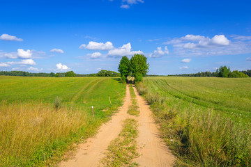 Fototapeta na wymiar Idyllic summer meadow with single path in Poland