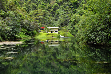Tahiti nature  Vaihiria