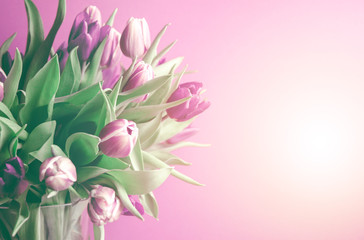 Delicate tulips in pastel colors, postcard concept, copy space