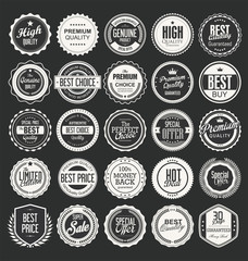 Retro vintage badges and labels vector collection 