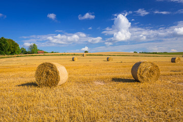 Hay bales on the field after harvest in Poland