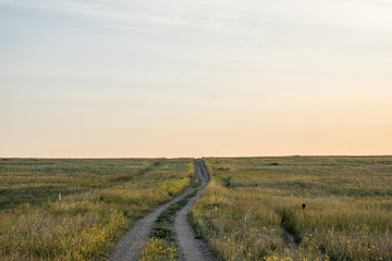 Fototapeta na wymiar Hiking path in the plains 