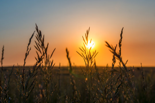 Sunrise in the plains 