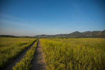 Hiking path in the plains 