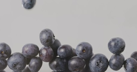 Close-up of a ripe large blueberry slowly falls and fills the screen. Slow motion. Berries background. Full HD video, 240fps,1080p