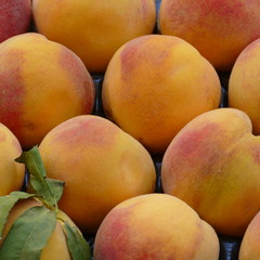 Percoche, frutta fresca del sud Italia