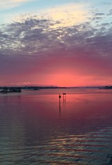 Pastel sunset sunrise over the water 
