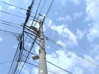 Fototapeta premium 電柱を見上げて