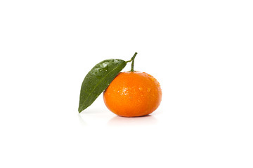 Isolated single orange mandarin fruit on white background