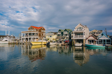 Cape May Harbor, in Cape May, New Jersey.