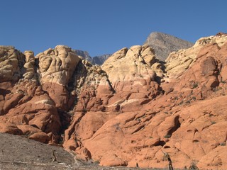 Obraz premium Neveda Desert