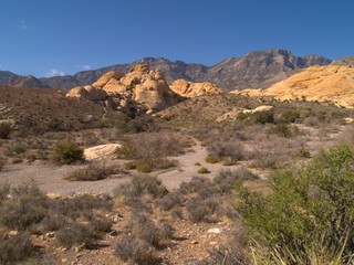 Fototapeta premium Neveda Desert