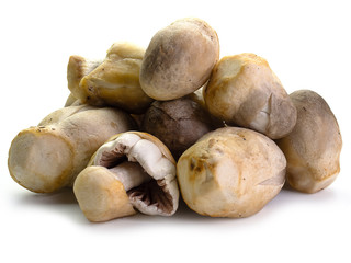  Straw mushrooms on white background.