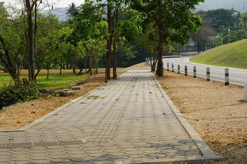 Walking streets in the garden. and walkway made form a brick. 