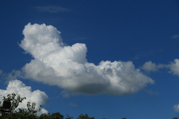 Obraz premium Fotografia