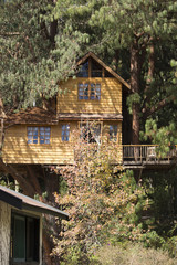 Tree house for kids in the garden.