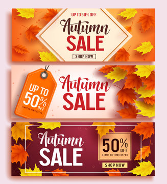 Autumn sale vector banner design set with colorful maple leaves elements in background and discount text for fall season shopping promotion. Vector illustration.
