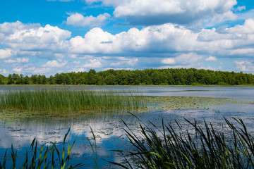 Scenic lake landscape