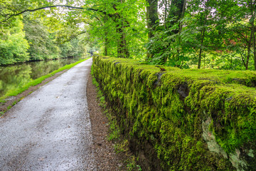 Fototapeta premium Towpath and green moss growing on stone wall