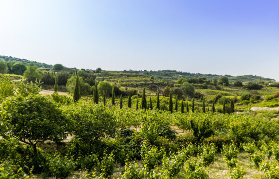 A view of the countryside outside the traditional village of Omodos in cyprus.