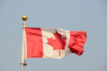 Canadian Flag Blowing in the Wind