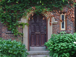 house with old wooden door surrounded by vines