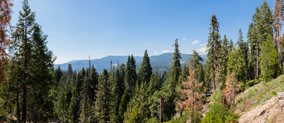Sequoia National Park