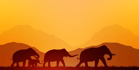 Schilderijen op glas silhouette elephants on blurry sunrise background © rathchapon