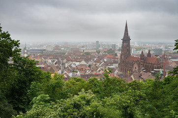 Fototapeta na wymiar City of freiburg with the munster in focus
