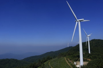 夏の大川原高原