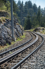 Fototapeta premium Train tracks (railway) on mount rigi to take guests from various stations to the peak of the mountain and back down.
