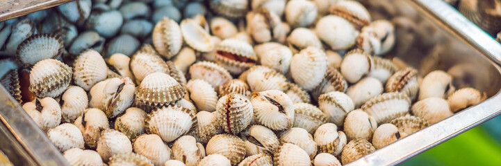 Fresh tasty seafood served on crushed ice, close-up BANNER, long format