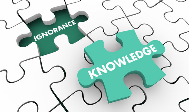 Knowledge Beats Ignorance Intelligence Vs Stupidity Puzzle 3d Illustration