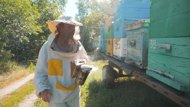 the beekeeper working in the apiary bees fly swarm multi colored beehive slow motion video. bee-maker beekeeper man working of a smoke pipe beeper wooden hives smoker device for repelling evil bees