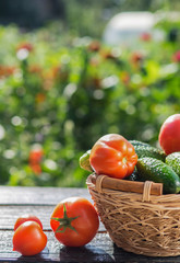 Tomatoes and cucumbers in a basket