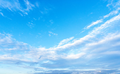 Naklejka na ściany i meble blue sky cloud background