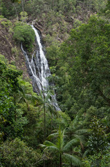 Waterfall plunging into bush