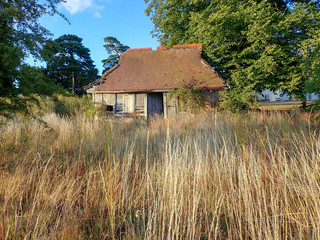 Charming wooden cabin, Sarratt, Hertfordshire