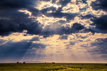 Panorama con nuvole e temprotali sul Serengeti Savana in Tanzania