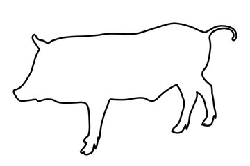 Wild boar outline of the black lines. Vector illustration.