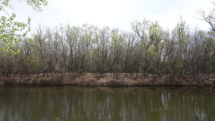 Obraz premium Spring flood