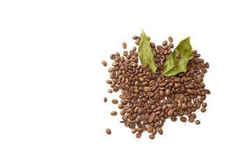 Coffee beans with coffee leaves