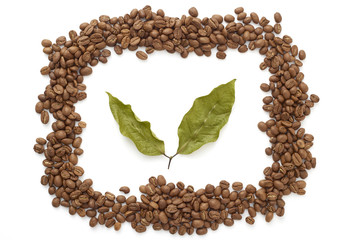 Coffee beans with coffee leaves