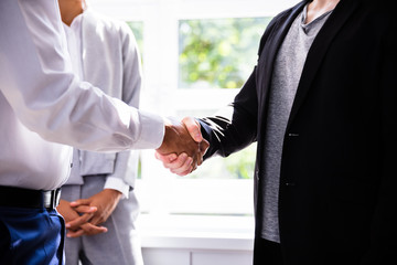 Businessman Shaking Hands With His Client