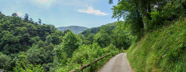 The road to Santiago between Valcarlos and Roncesvalles