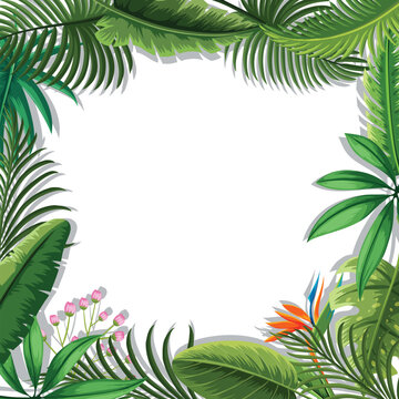 A tropical leaves frame