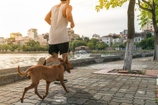 Work Out With Dog. Asian Male Running With His Dog In The Park