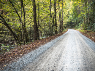 Disappering Gravel Road