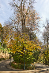 Granada, Andalusia, Spain, Europe